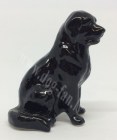 Newf_black-1-um copy